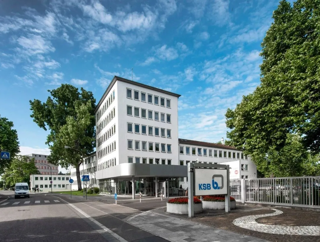 凯士比发布2020年业绩报告